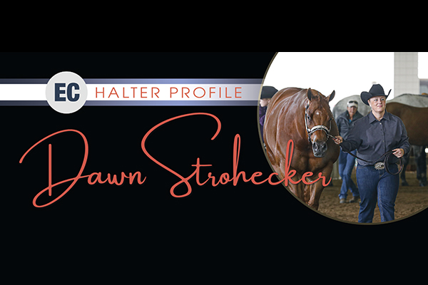 Halter Profile – Dawn Strohecker