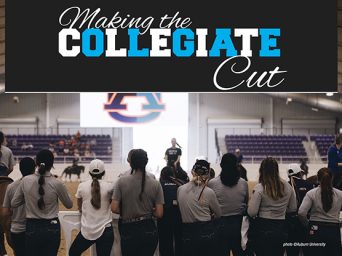 Making The Collegiate Cut