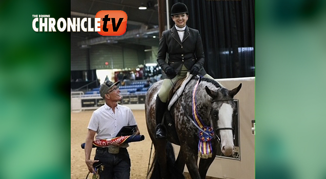 Shannon Gillespie and SheThinksMyFactorsSexy win 3 YO Color Hunter Under Saddle