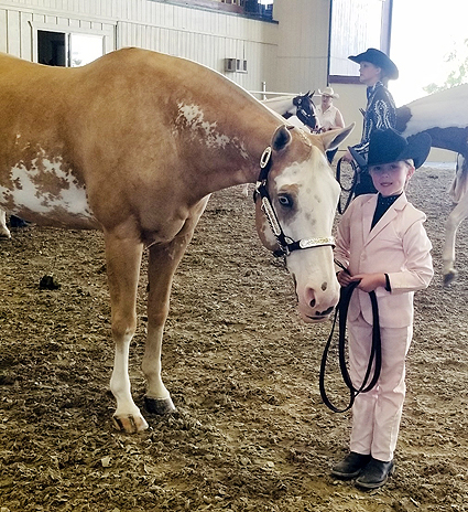 Around the Rings  – SJPHC NCPHC Triple Crown Fall Color Challenge & All Breed Horse Show