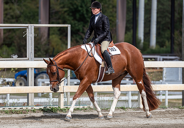 Around the Rings – 2023 Palmetto Paint Horse Club Classic