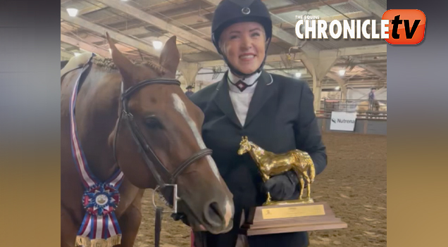 April Gentry and Hez Simply Western win L2 Amateur Select Hunt Seat Equitation