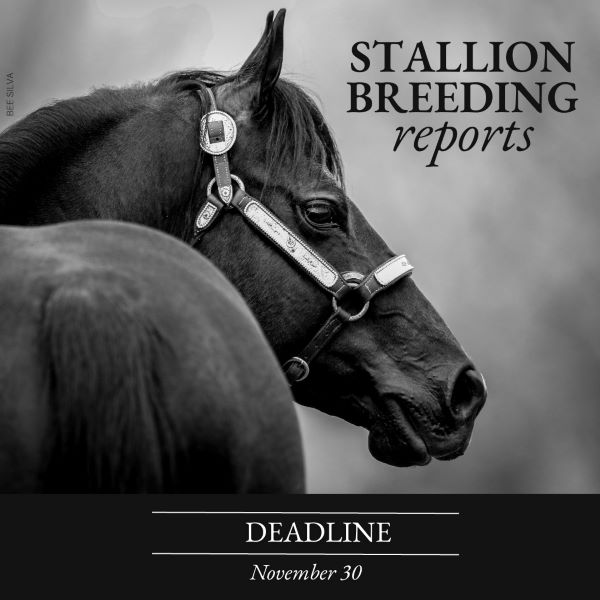AQHA Stallion Breeding Reports Due November 30th