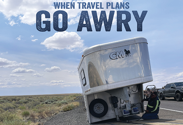 When Travel Plans Go Awry