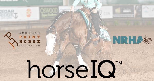 APHA and NRHA Join Forces to Bring Reining Lessons to horseIQ Virtual Learning