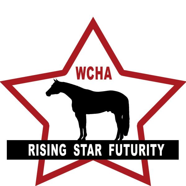 World Conformation Horse Association Announces New Futurity Program!