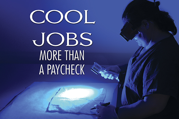 Cool Jobs – More Than A Paycheck
