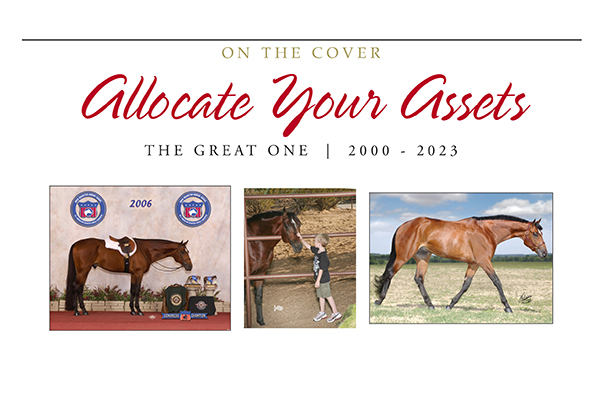 On The Cover – Allocate Your Assets