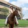 Miss Rodeo America Contestants Ride American Quarter Horses