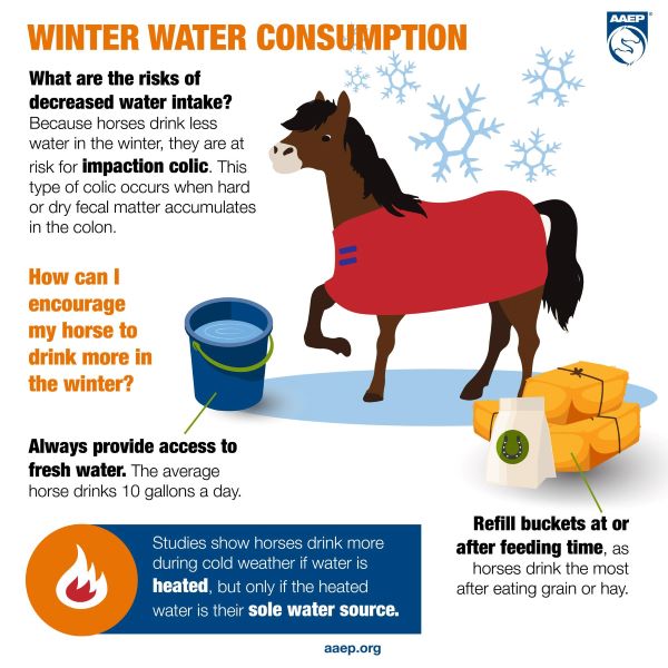 Winter Water Consumption