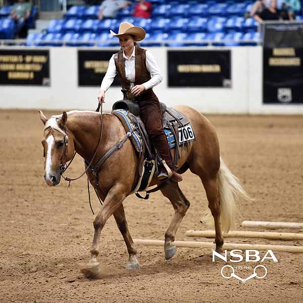 2024 NSBA World Show Ranch Classes Require Qualifying Equine Chronicle