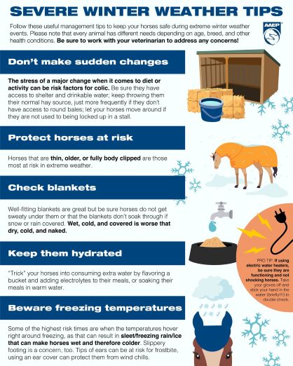 Severe Winter Weather Tips