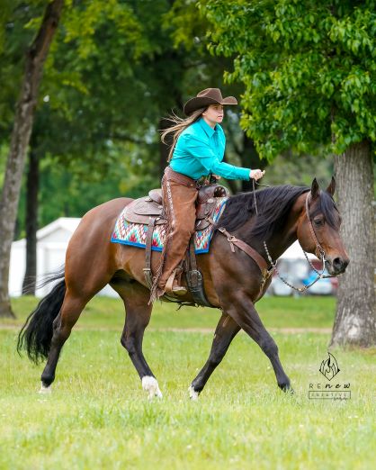 EC Photo of the Day – The Horse with Beauty Unsurpassed