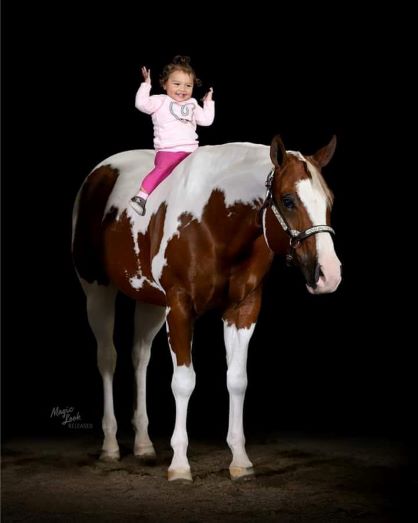 EC Photo of the Day – Horses Who Understand Children