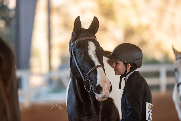 Free Youth Course on the Language of Horses