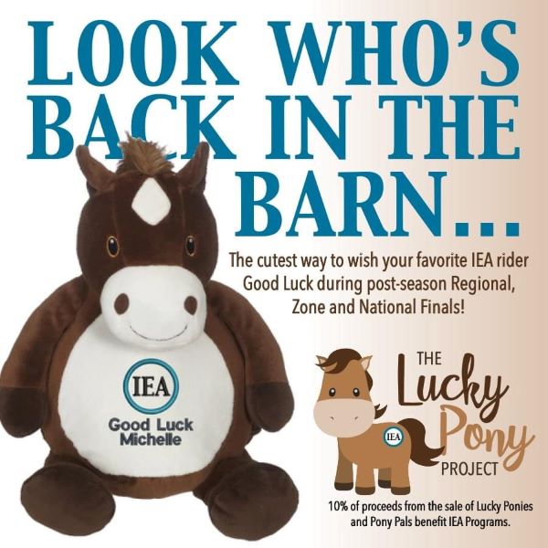 IEA Lucky Pony Project
