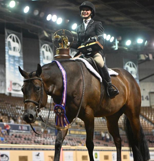 EC Photo of the Day – Bella D’Onofrio and Whata Moonlite Ride