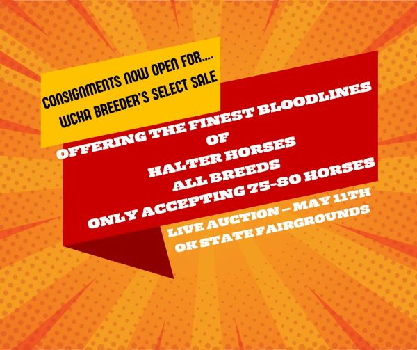 WCHA 2024 Breeders’ Select Sale