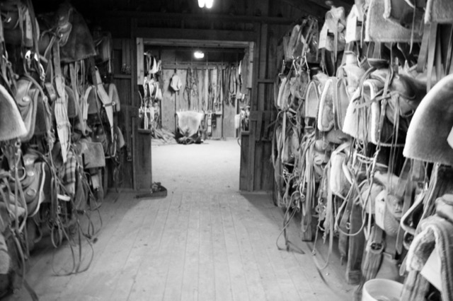 Horizon Structures Presents Series: Interior Design Tips For Your Tack Room