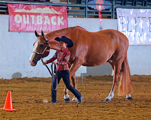 Around the Rings- 2024 Dixie National Quarter Horse Show