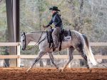 Around the Rings – 2024 SCQHA Cattle Classic
