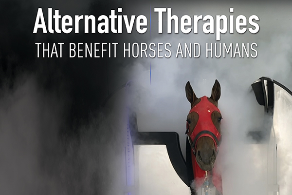 Alternative Therapies That Benefit Horses And Humans