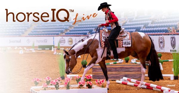 Don’t Miss Out on Interactive HorseIQ Live Experience from APHA