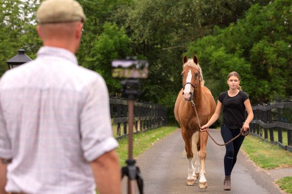 New Collaboration Between Boehringer Ingelheim and Sleip Leverages AI-technology to Help Detect Lameness in Horses