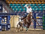Around the Rings – 2024 National Western Stock Show – AQHA & APHA Show