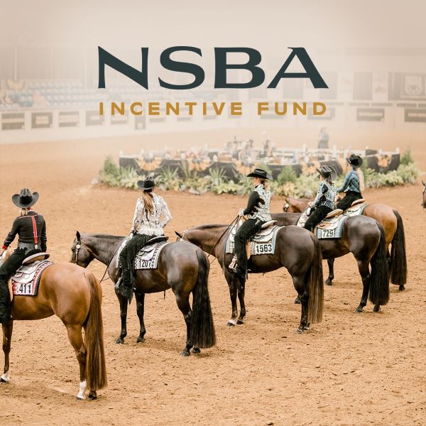 NSBA 2023 Incentive Fund Pays Out More Than $120,000