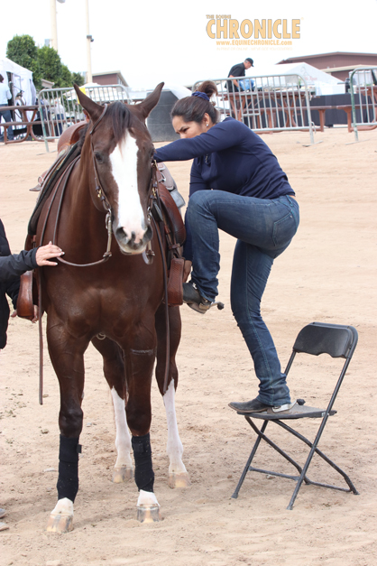 EC Answer of the Week: Horse Show Tips for the Vertically Challenged Equestrian