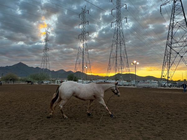 EC Photo of the Day – Good Morning, Scottsdale!