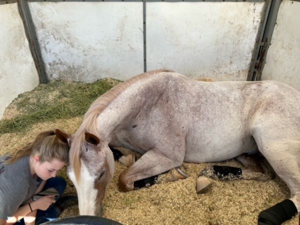 EC Photo of the Day – A Quiet Moment Together