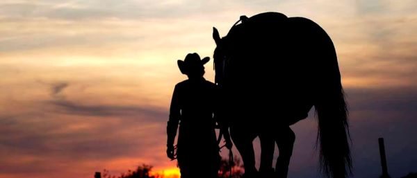 AQHA Professionals of the Year Announced
