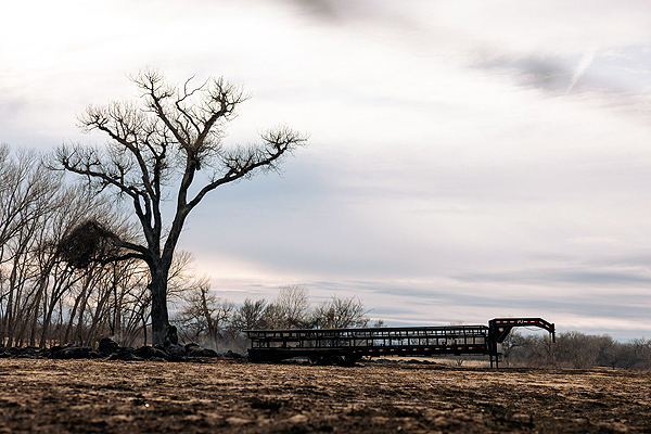 Taylor Sheridan & Ryan Bingham Co-Host Benefit for Those Affected by Texas Wildfires