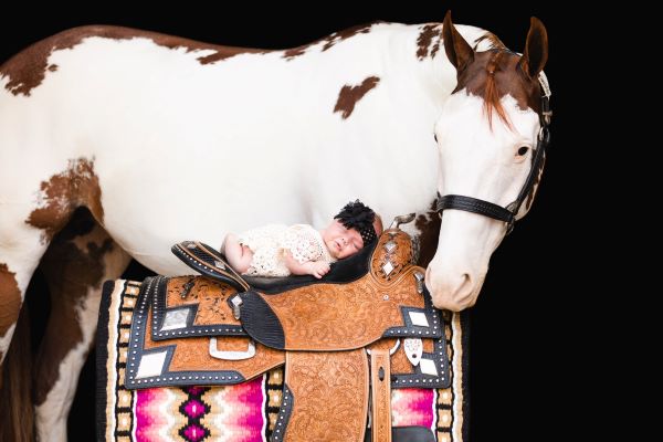 EC Blog – Raising A “Horse Girl”
