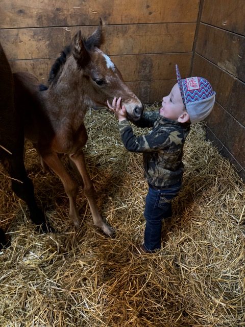 EC Foal Photo of the Day – Trent Rudd and Adele