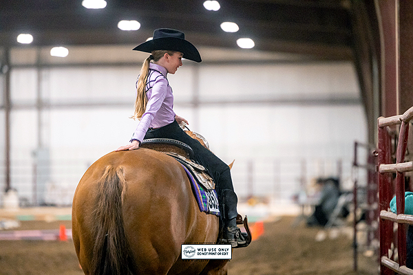 Around the Rings – 2024 Indiana QYHA Show