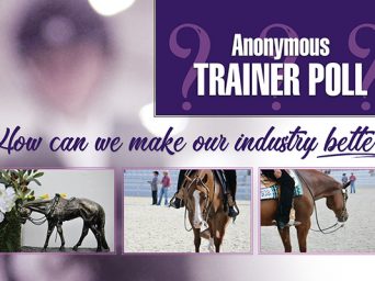 Anonymous Trainer Poll – How Can We Make Our Industry Better?