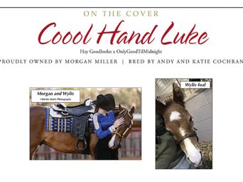 On The Cover – Coool Hand Luke