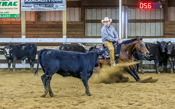 Around the Rings – McKinsey Cutting Horses April 2024 MC Cutters Show