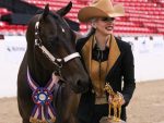 Around the Rings – 2024 AQHA West L1 Championship Show – Tuesday, May 14