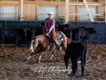 Around the Rings – Great Lakes Cutting Horse Association Mother’s Day Show
