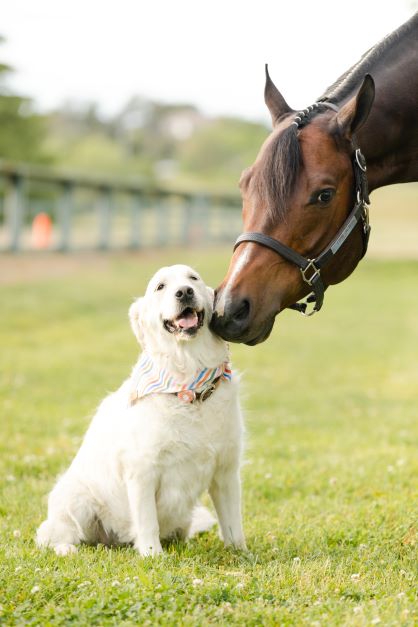 EC Photo of the Day – Aspen and Her Big Brother, Clint