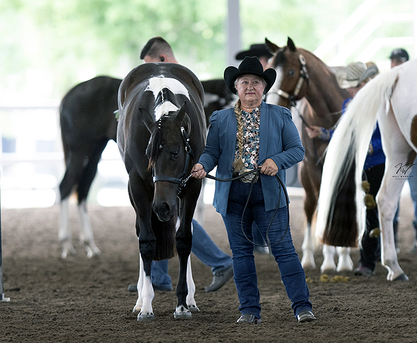 Around the Rings – 2024 Florida Color Horse Club Gator Classic