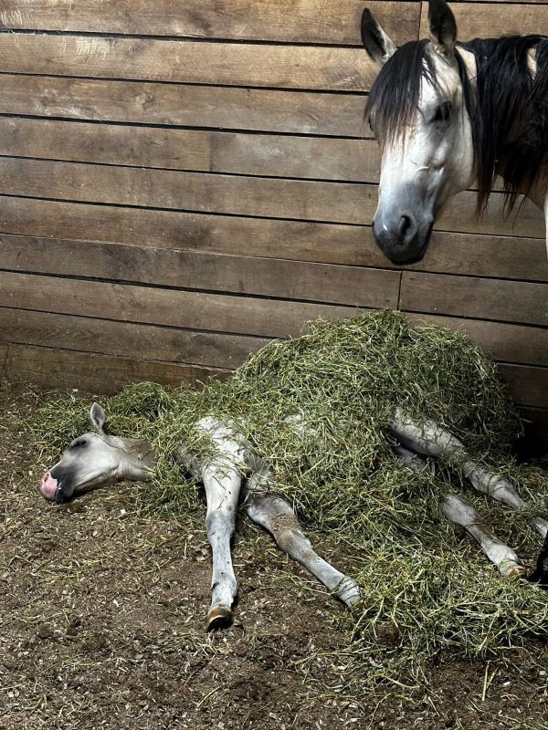 EC Photo of the Day – Caption This!