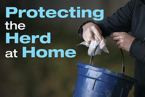 Protecting The Herd At Home