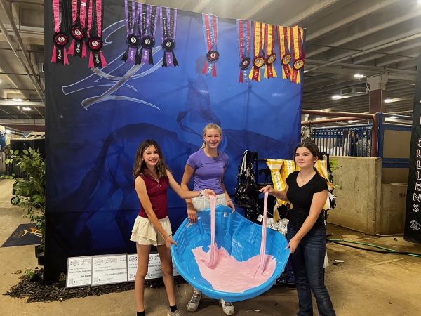 EC Photo of the Day – It Just Wouldn’t Be a Horse Show Without…