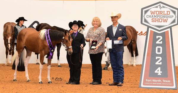 Arianna Ortiz & Tardee To Hollywood shine in Open Yearling In-Hand Trail