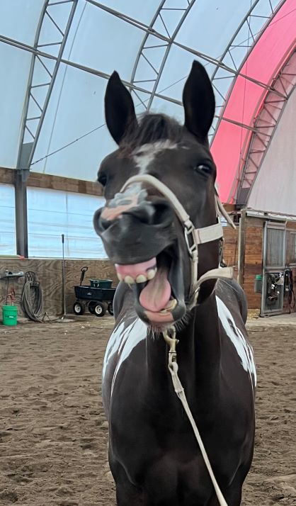 EC Photo of the Day – It’s Monday, but Keep Smiling